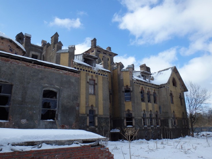 OLYMPUS DIGITAL CAMERA