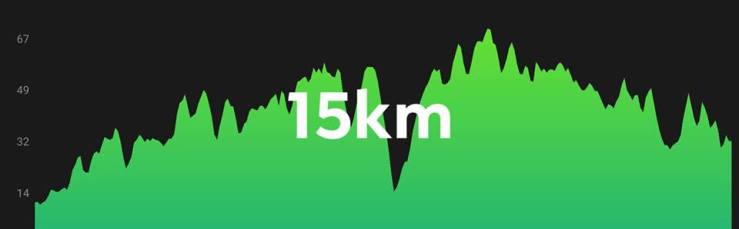 53761841_1155932391246576_3470793080834097152_n