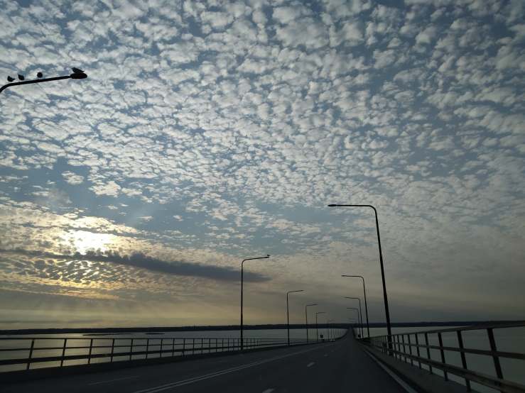 117575442_290592838683715_8779307189624161148_n